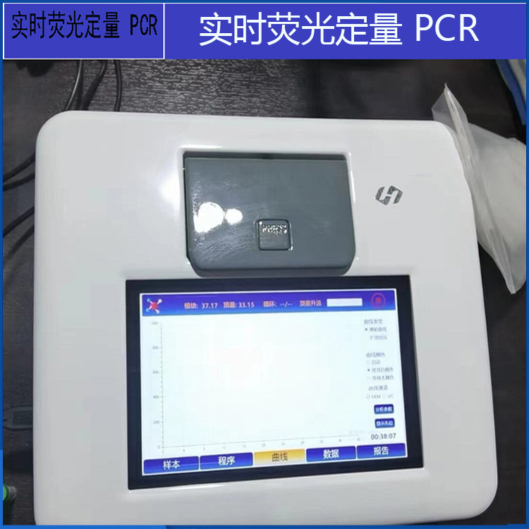 实时荧光定量 PCR